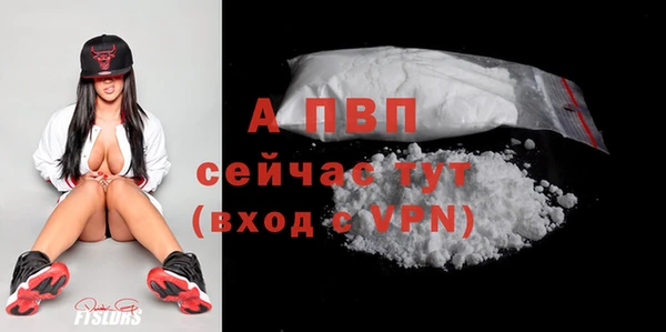 метадон Богданович