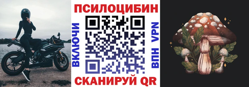 Купить где  Жуковский  Псилоцибиновые грибы прущие грибы 